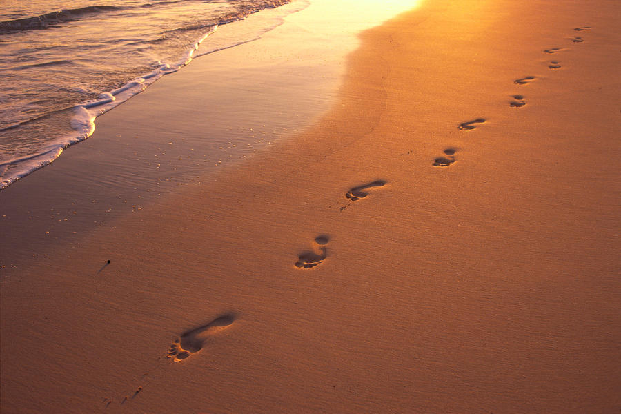 Risultati immagini per footprints